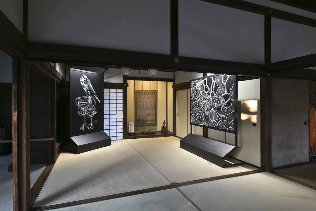 フィリップボードリック個展02