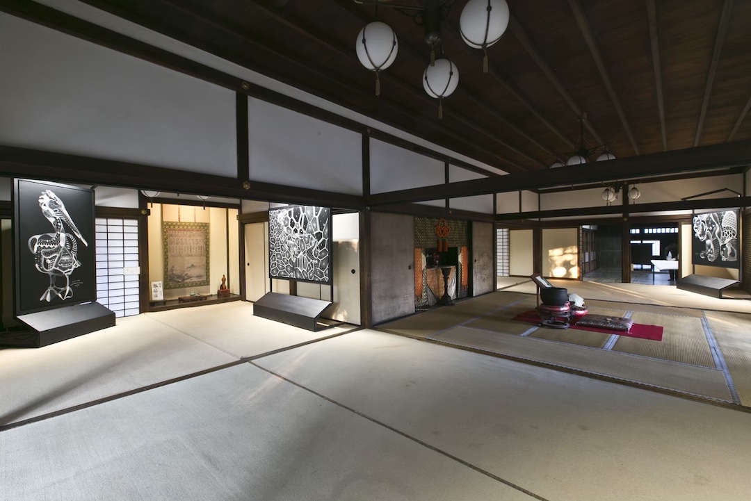 フィリップボードリック個展03