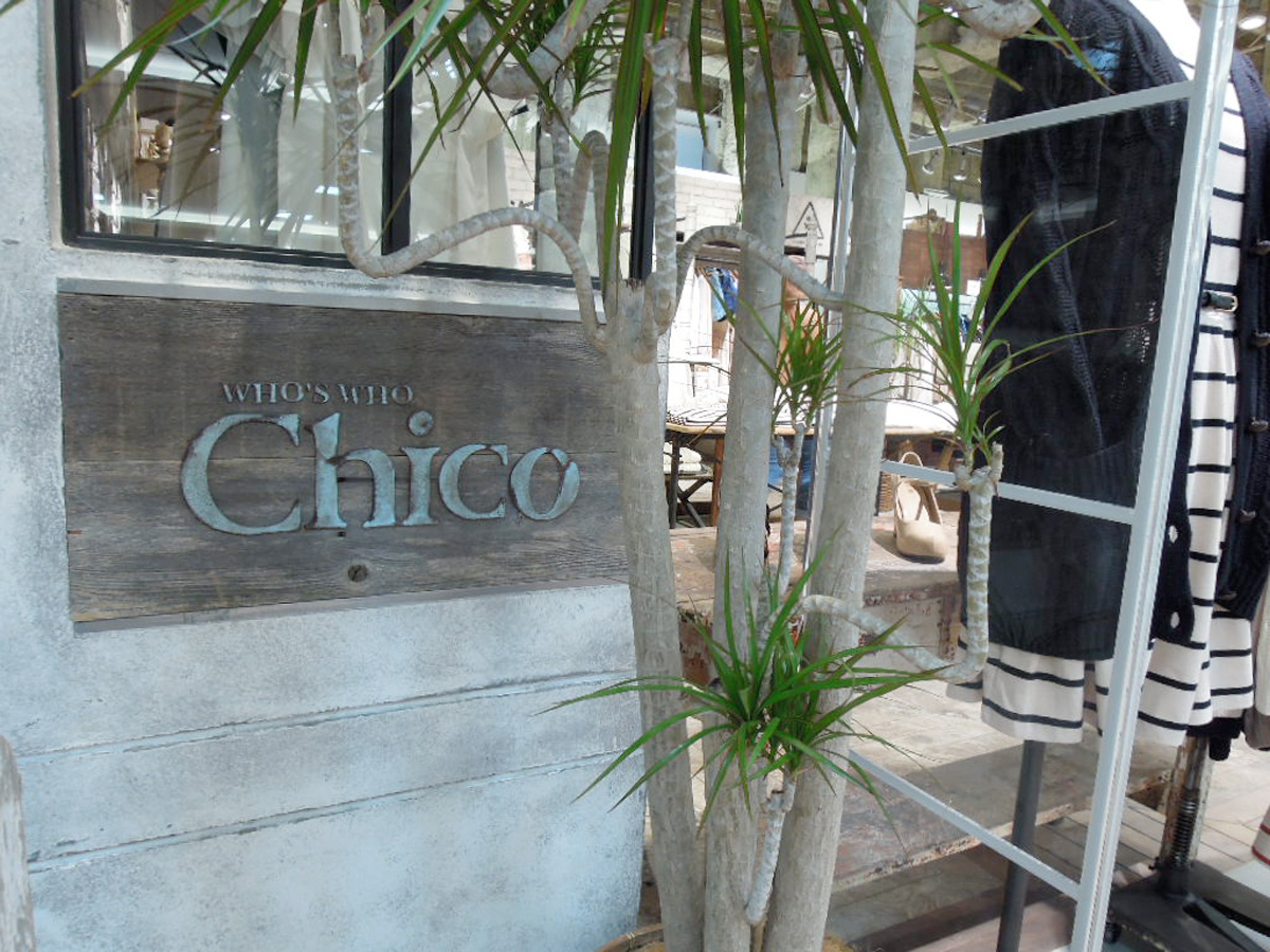 who's who Chico Kawaramachi OPA06